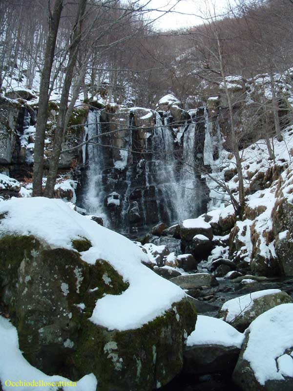  Image name: 08-cascate del  dardagna.jpg 
 width: 600 pixel 
 height: 800 pixel 
 Size: 90248 bytes 
 Click to enlarge 